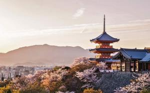 CUNG ĐƯỜNG VÀNG NHẬT BẢN: TOKYO – NÚI PHÚ SĨ – NAGOYA – KYOTO - OSAKA